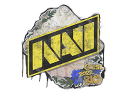 Запечатанный граффити | Natus Vincere | Рио-2022