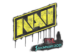 Versiegeltes Graffito | Natus Vincere | Stockholm 2021