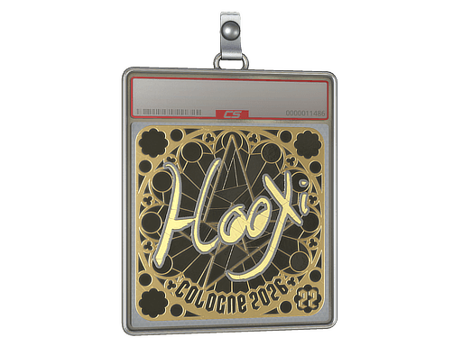 Sticker | HooXi (Ranked) | Cologne 2026 — طلایی
