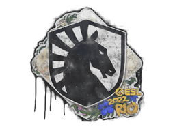 Запечатане графіті | Team Liquid | Ріо 2022